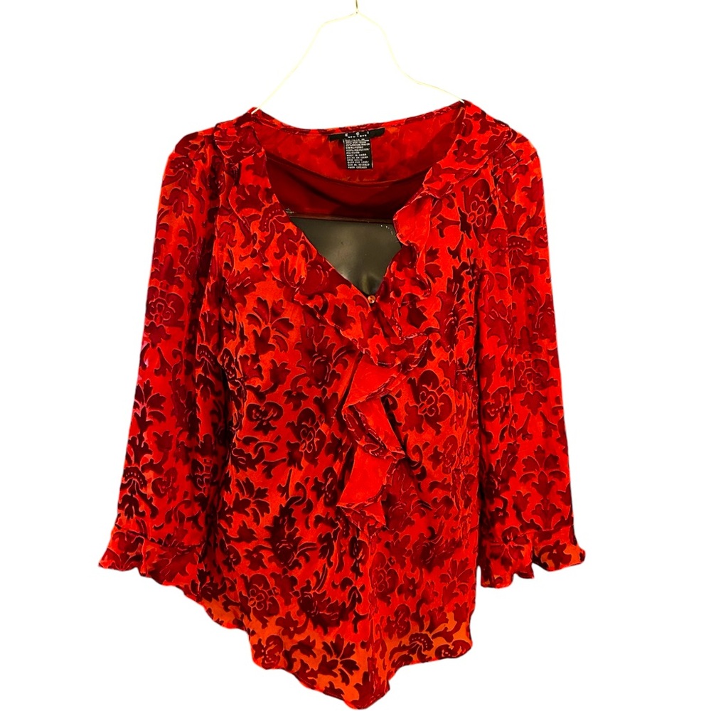 Romantic Whimsygoth Burned out Velvet Witchy Y2K Blouse Vampire Goth